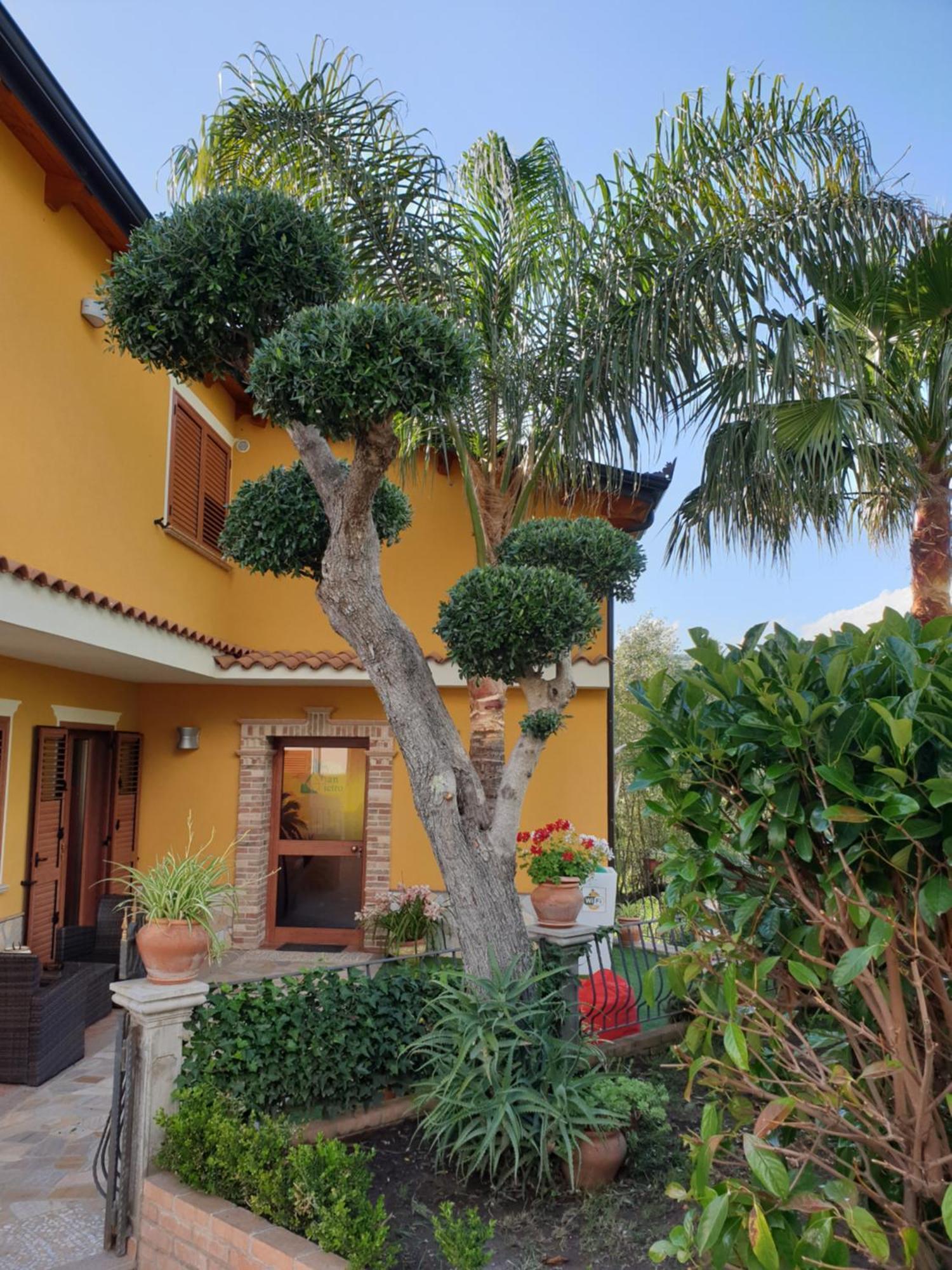 Bed and Breakfast San Pietro Mileto Экстерьер фото